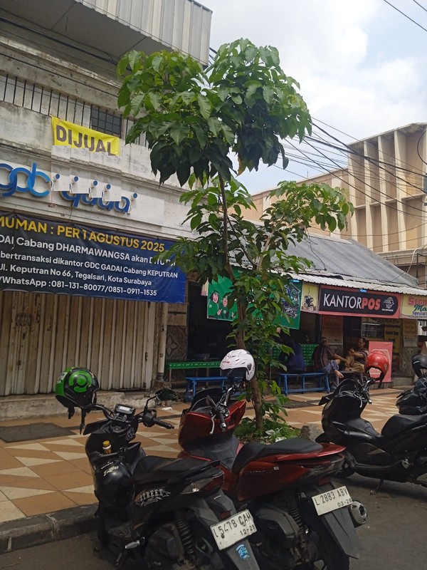 Ruko Dijual Dharmawangsa Gubeng Surabaya