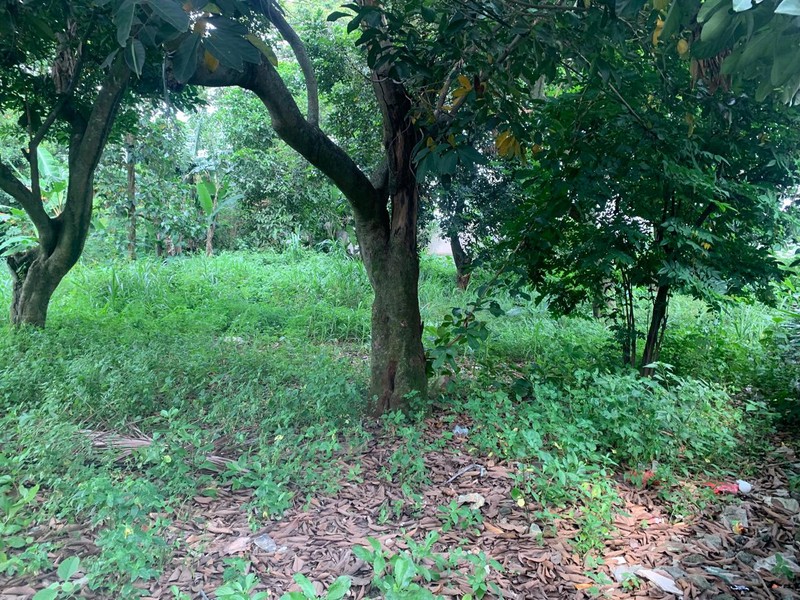 Kavling Siap Bangun Di Jl Unta Raya (Sebelah Kasira Residence) Pondok Ranji