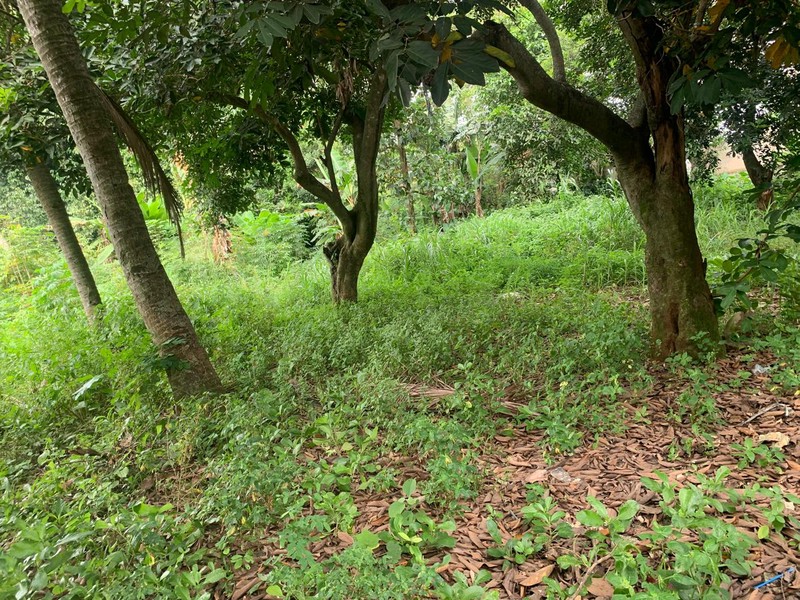 Kavling Siap Bangun Di Jl Unta Raya (Sebelah Kasira Residence) Pondok Ranji