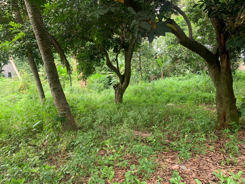 Kavling Siap Bangun Di Jl Unta Raya (Sebelah Kasira Residence) Pondok Ranji