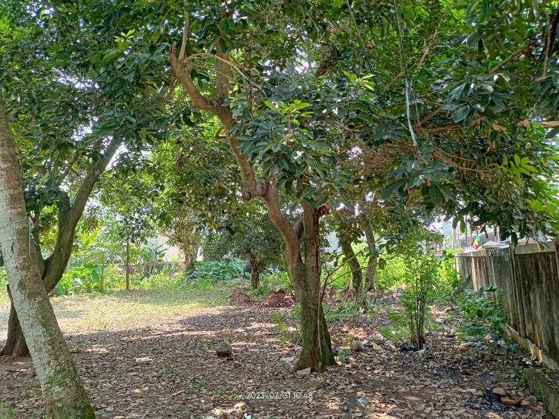 Kavling Siap Bangun Di Jl Unta Raya (Sebelah Kasira Residence) Pondok Ranji