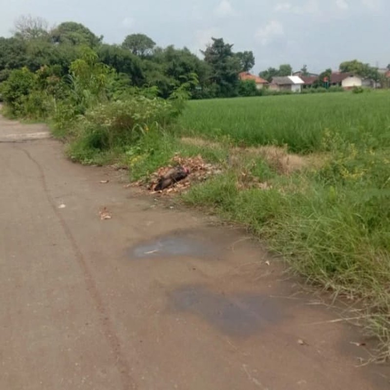 TANAH KAVLING YANG BERADA DI LOKASI STRATEGIS DEKAT BERBAGAI FASILITAS PUBLIK DI PANCAWATI KLARI KARAWANG TIMUR