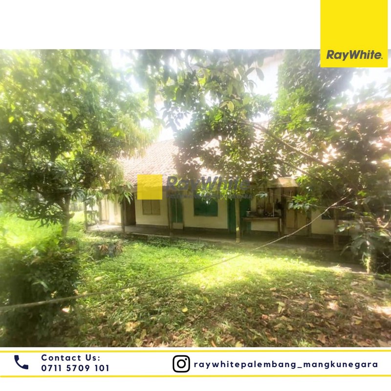 Rumah + Tanah Strategis Talang Semut, Potensi Besar untuk Bisnis F&B & Jasa Premium