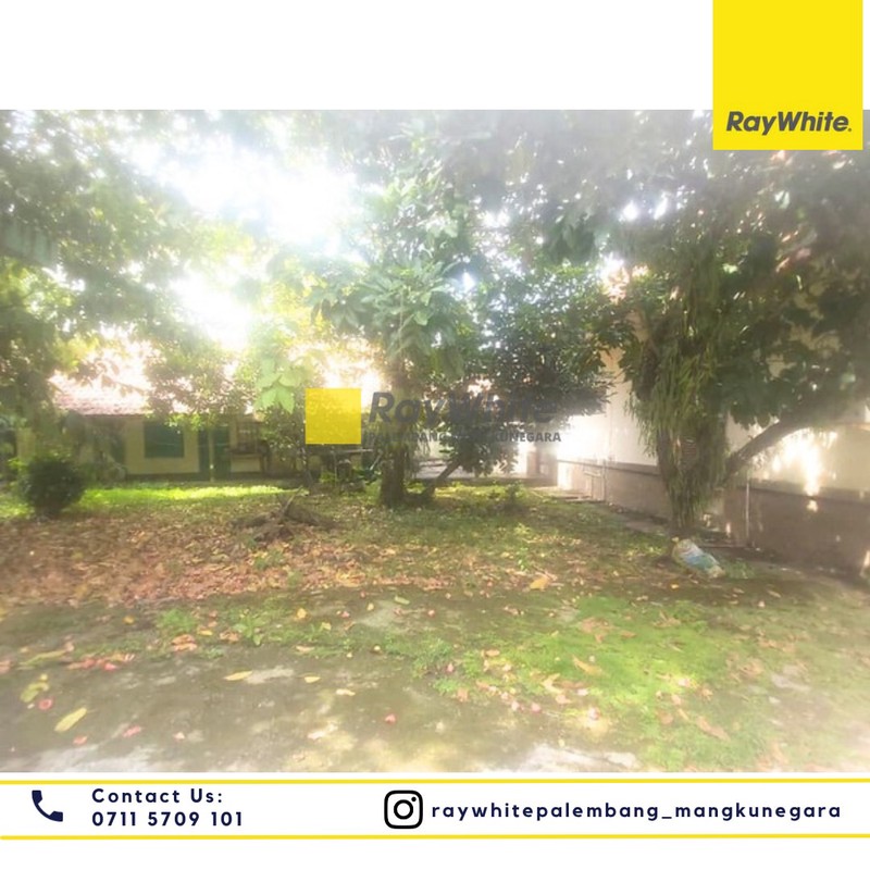 Rumah + Tanah Strategis Talang Semut, Potensi Besar untuk Bisnis F&B & Jasa Premium