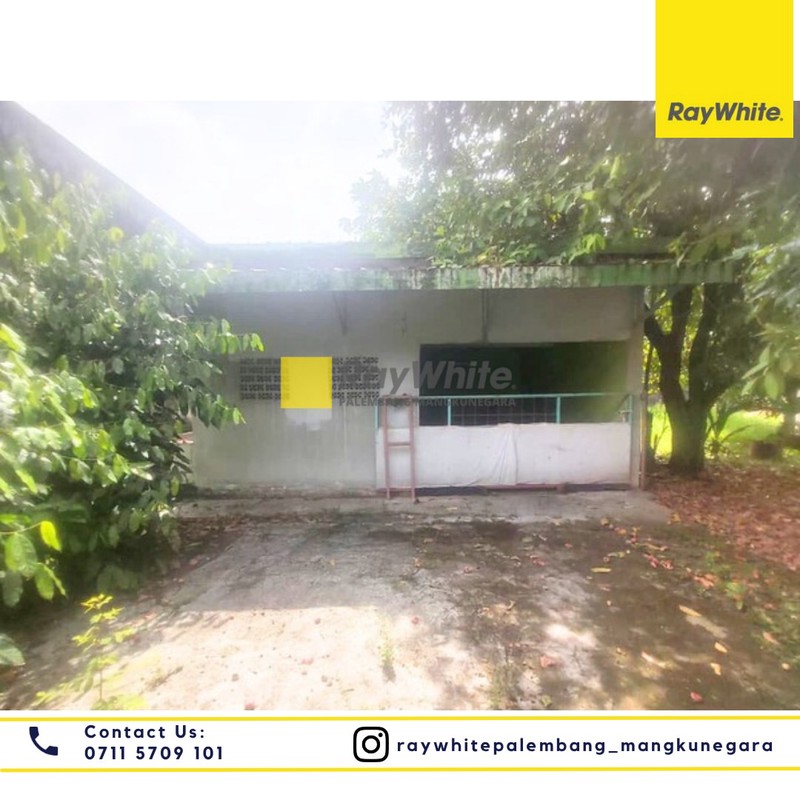 Rumah + Tanah Strategis Talang Semut, Potensi Besar untuk Bisnis F&B & Jasa Premium