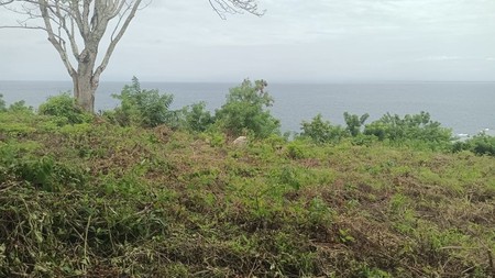 Land Cliff Front Leasehold In Great Location Thomas Beach Bali
