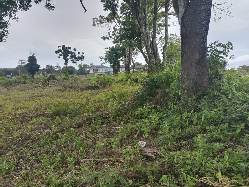 Land Cliff Front Leasehold In Great Location Thomas Beach Bali