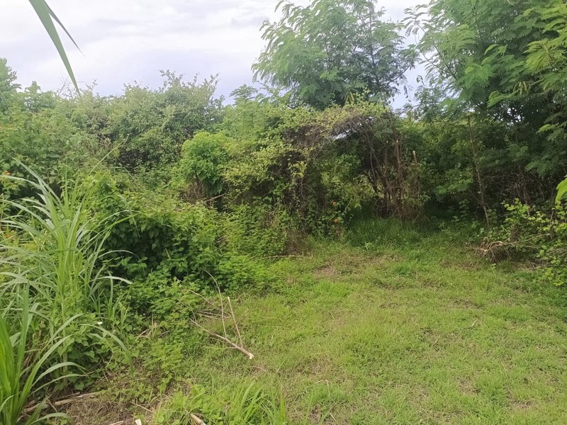 Land Freehold Cliff Front Nyang Nyang Beach Bali