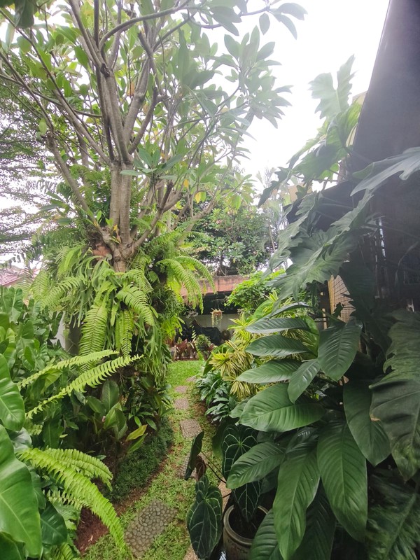 Rumah Bagus Di Pisok Bintaro Jaya Sektor 5