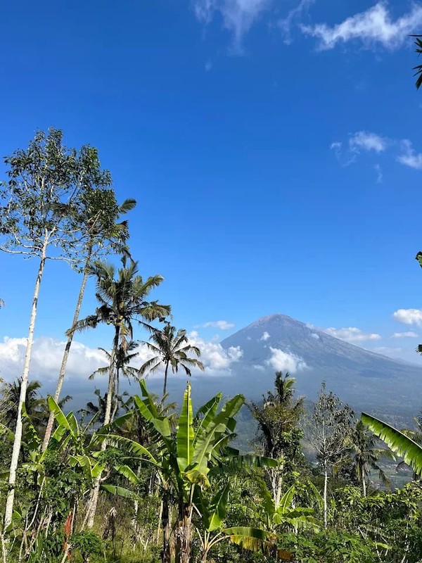 For Sale Amazing Bungalow Estate With Sea View And Mount Agung View Amlapura Karangasem