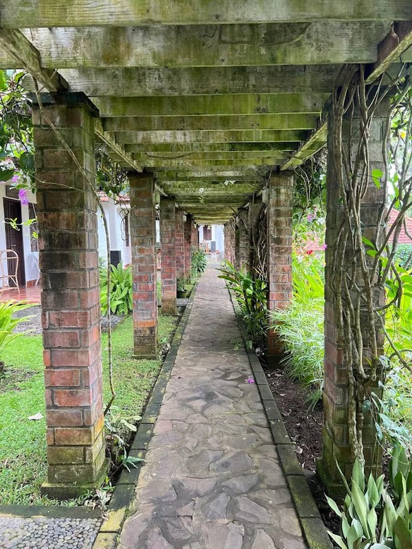 For Sale Amazing Bungalow Estate With Sea View And Mount Agung View Amlapura Karangasem