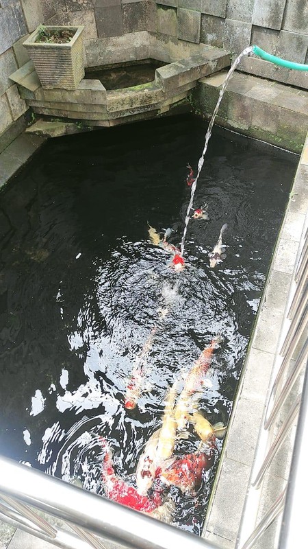 Dijual Villa di Grand Trawas | SHM | 1,6 M