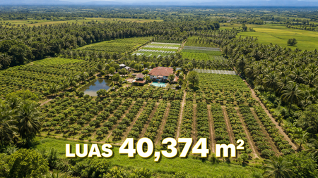 DIJUAL KEBUN LUAS 40374m - BLOK PASIR TENGAH, PANCAWATI, CARINGIN BOGOR