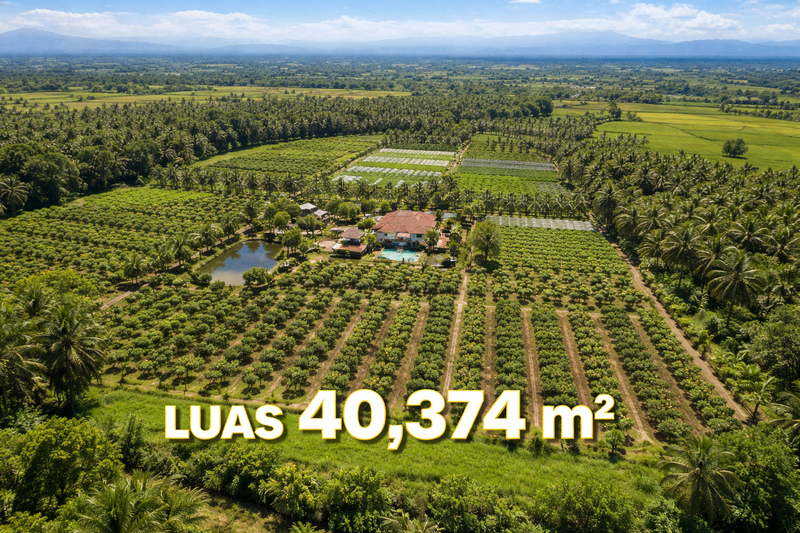 DIJUAL KEBUN LUAS 40374m - BLOK PASIR TENGAH, PANCAWATI, CARINGIN BOGOR