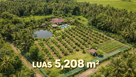 DIJUAL KEBUN LUAS 5208m - BLOK PASIR TENGAH, PANCAWATI, CARINGIN BOGOR