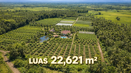 DIJUAL KEBUN LUAS 22621m - BLOK PASIR TENGAH, PANCAWATI, CARINGIN BOGOR
