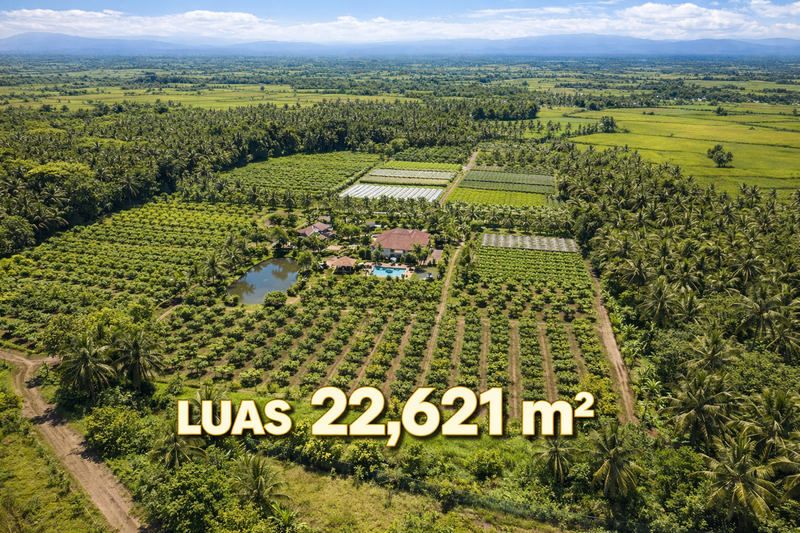 DIJUAL KEBUN LUAS 22621m - BLOK PASIR TENGAH, PANCAWATI, CARINGIN BOGOR