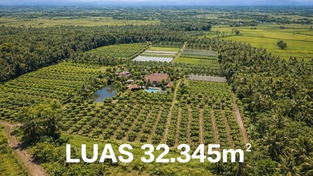 DIJUAL KEBUN LUAS 32345m - BLOK PASIR TENGAH, PANCAWATI, CARINGIN BOGOR