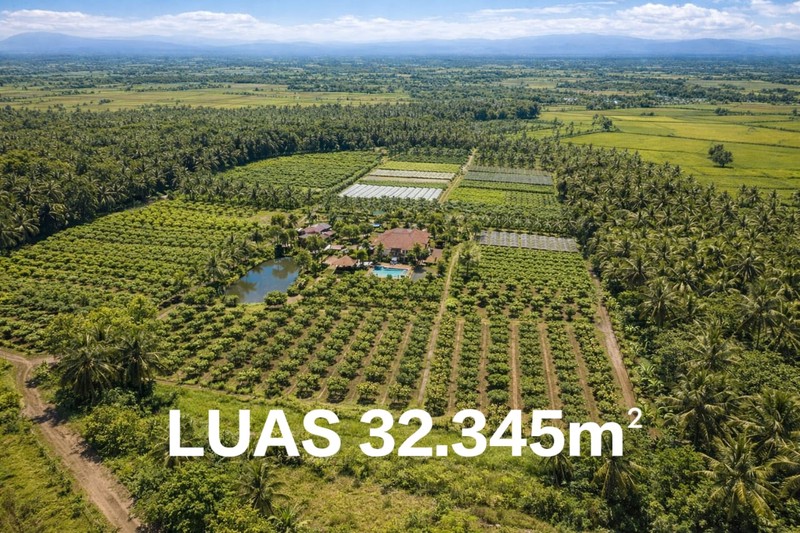 DIJUAL KEBUN LUAS 32345m - BLOK PASIR TENGAH, PANCAWATI, CARINGIN BOGOR