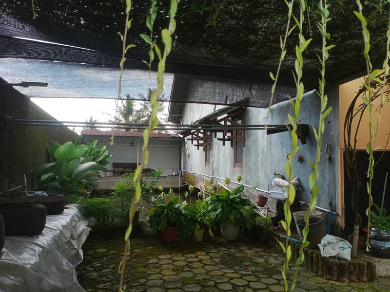 Dijual Rumah Dekat Candi Mendut, Hanya 70 Meter Dari Jalan Raya, Mungkid, Magelang