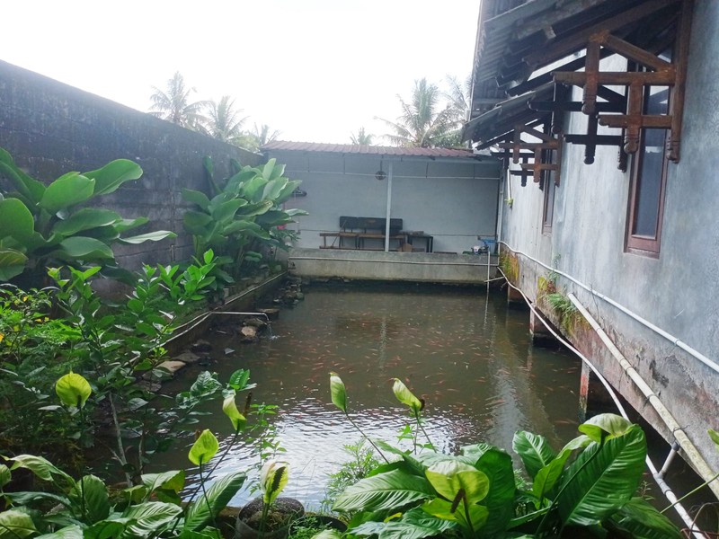 Dijual Rumah Dekat Candi Mendut, Hanya 70 Meter Dari Jalan Raya, Mungkid, Magelang