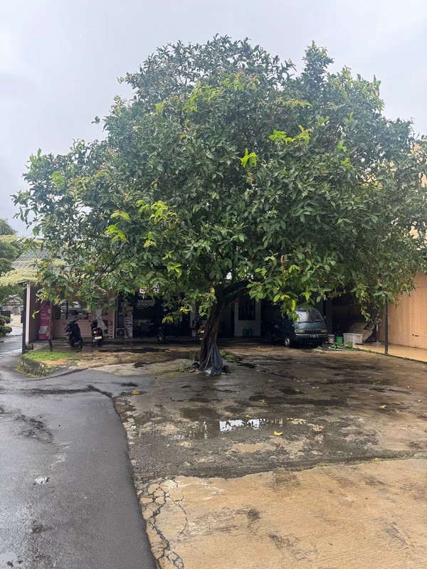 FOR SALE | RUKO KOMERSIL STRATEGIS DI TAPOS, DEPOK - PINGGIR JALAN UTAMA