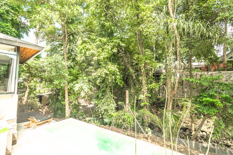 For Sale Leasehold - Brand new riverside estate jungle  chill like Ubud with riverfront lap pool in the heart of Pererenan - Canggu , Bali