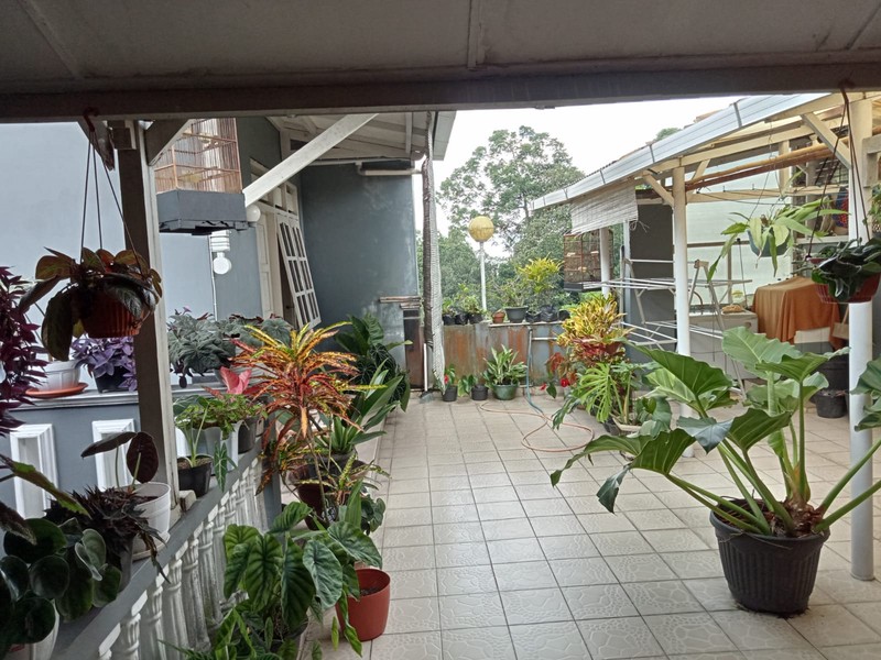 Investasi Terbaik Dijual Penginapan Furnished 2 Lantai Siap Huni/Operasi di Area Kaliurang, Hargobinangun, Pakem, Sleman