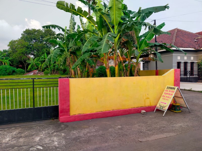 Disewakan Tanah Luas 950 Meter Persegi di Zona Wisata Prambanan Klaten, Cocok untuk Usaha