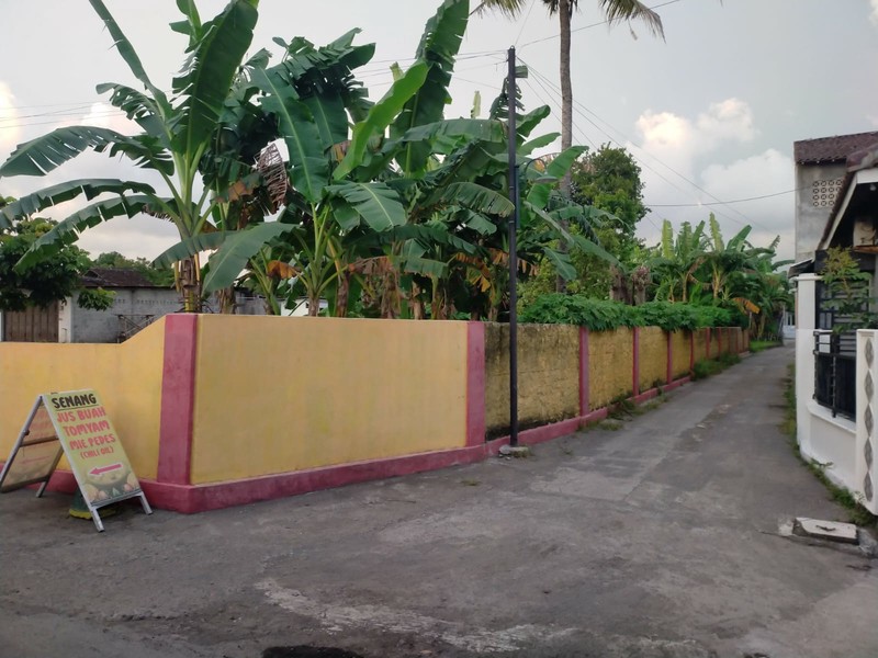 Disewakan Tanah Luas 950 Meter Persegi di Zona Wisata Prambanan Klaten, Cocok untuk Usaha