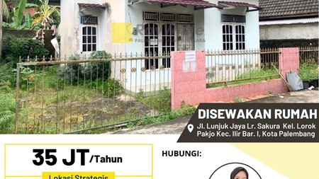 rumah sewa dkt unsri bukit palembang 