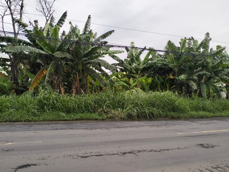 Dijual Tanah komersial diarea industri jalan raya Putat Lor, Boboh. Menganti- Gresik