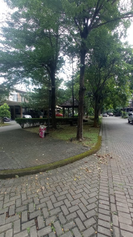 Rumah Hoek Fasum Samping luas Cluster De Naara - De Park BSD City