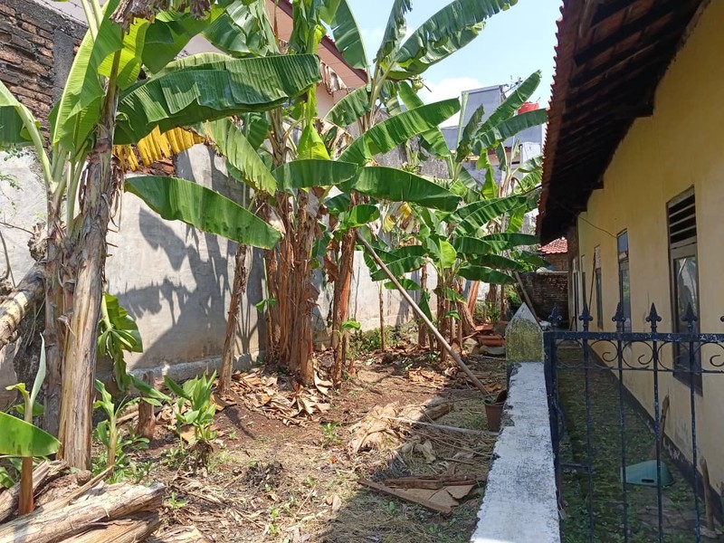 Rumah Dijual di Jati Padang