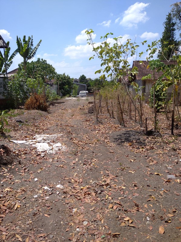 Tanah Strategis 2000 Meter Persegi Dekat Ringroad & Pasar Buah, Ambarketawang, Gamping, Sleman