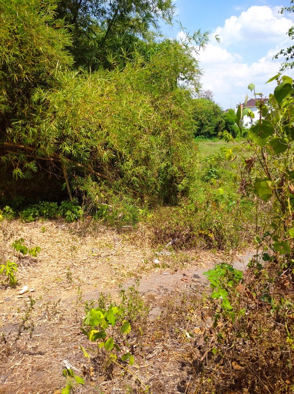 Tanah Strategis 2000 Meter Persegi Dekat Ringroad & Pasar Buah, Ambarketawang, Gamping, Sleman