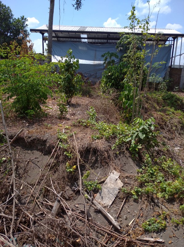 Tanah Strategis 2000 Meter Persegi Dekat Ringroad & Pasar Buah, Ambarketawang, Gamping, Sleman