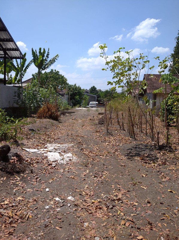 Tanah Strategis 2000 Meter Persegi Dekat Ringroad & Pasar Buah, Ambarketawang, Gamping, Sleman