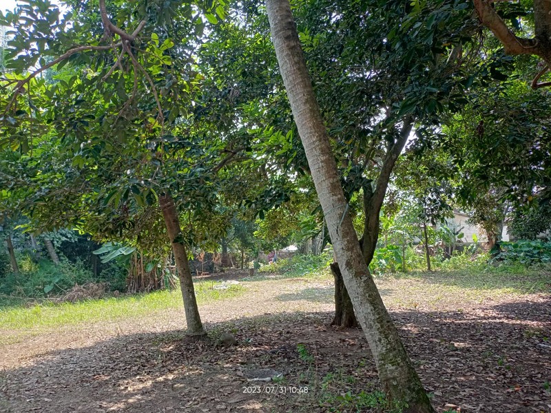 Kavling Siap Bangun Di Jl Unta Raya (Sebelah Kasira Residence) Pondok Ranji