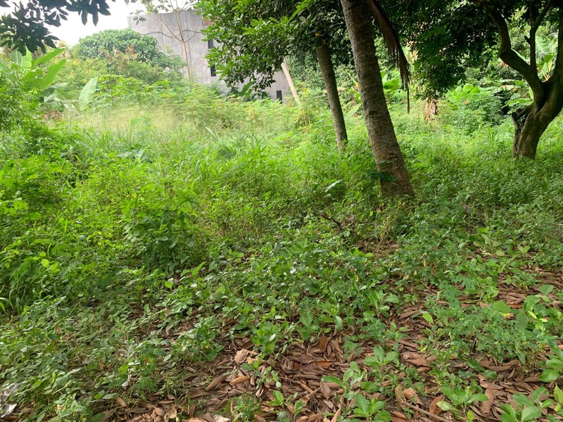 Kavling Siap Bangun Di Jl Unta Raya (Sebelah Kasira Residence) Pondok Ranji