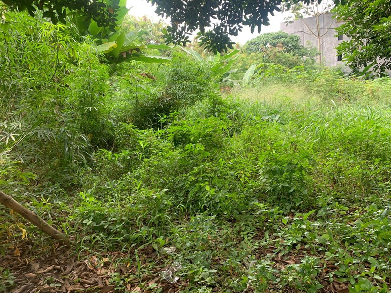 Kavling Siap Bangun Di Jl Unta Raya (Sebelah Kasira Residence) Pondok Ranji