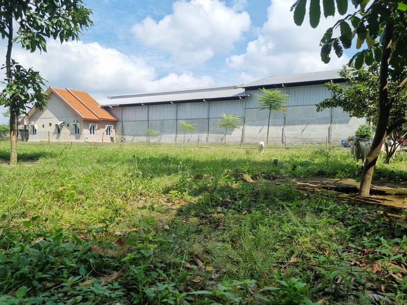 Properti SHM Dijual|Ideal untuk Gudang, Usaha, dan Tempat Tinggal