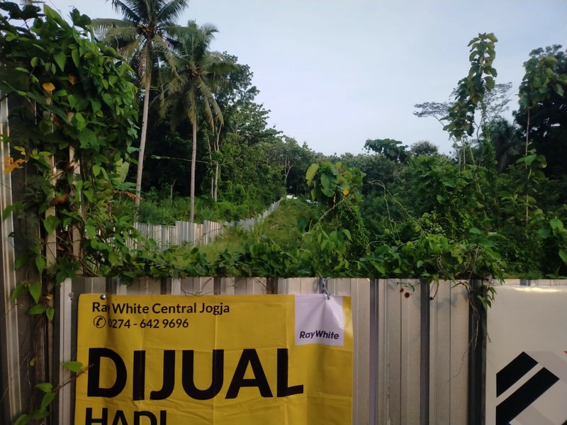 Tanah Luas Strategis 3.421 Meter Persegi di Sendangsari Kulon Progo - Hadap Timur, Prospektif Untuk Investasi Jangka Panjang