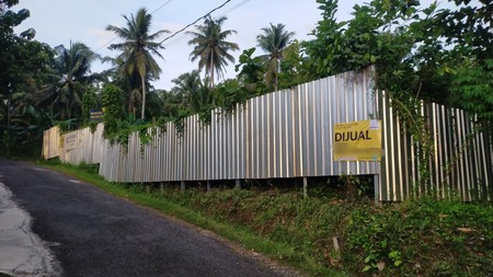 Tanah Luas Strategis 3.421 Meter Persegi di Sendangsari Kulon Progo - Hadap Timur, Prospektif Untuk Investasi Jangka Panjang