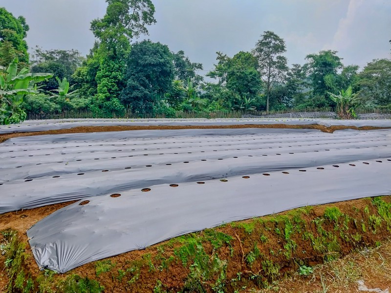 Tanah di Wanayasa Purwakarta, akses mudah ke Bojong, Babakancikao