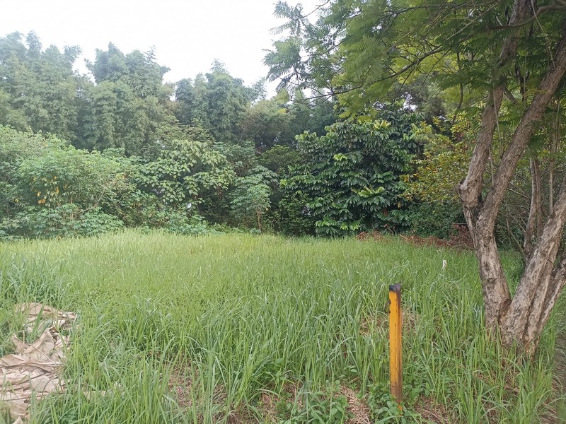 Kavling siap bangun Di Modern Hill, Pondok Cabe Pamulang Tangerang Selatan