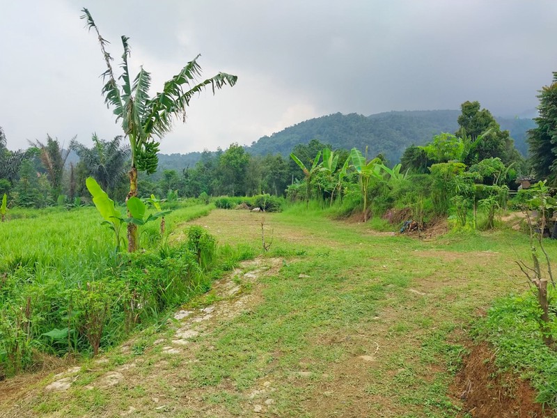 Tanah di Wanayasa Purwakarta, akses mudah ke Bojong, Babakancikao