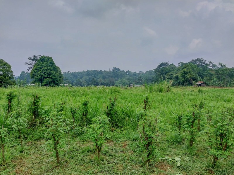 Tanah di Wanayasa Purwakarta, akses mudah ke Bojong, Babakancikao