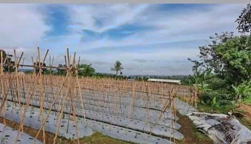 Tanah di Wanayasa Purwakarta, akses mudah ke Bojong, Babakancikao