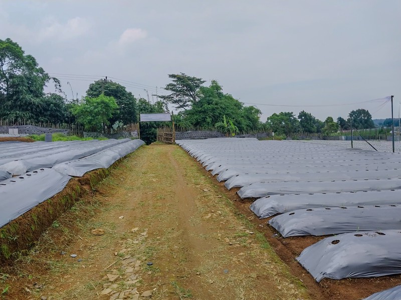 Tanah di Wanayasa Purwakarta, akses mudah ke Bojong, Babakancikao